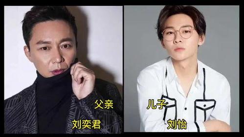 穿越父子明星,明星家族的奇妙旅程