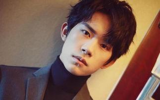 名字含道明星,揭秘含道明星的璀璨人生