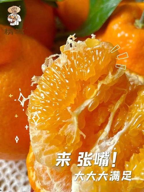 何萌食令芋头条,何萌食令，探寻芋头美食新境界