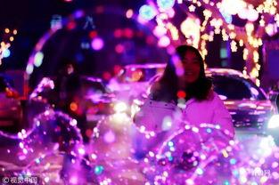 网红鲜花摆放图,打造家居美学新风尚