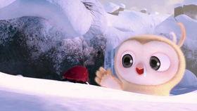 吃瓜搞笑视频封面高清,带你领略欢乐瞬间