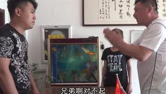 波哥村里人爆料视频大全,揭秘乡村生活百态