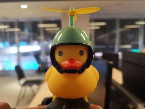 小黄鸭吃马瓜视频,趣味横生萌态十足