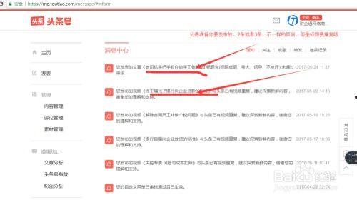 新手头条文章,揭秘新手入门必备的实用技巧与知识