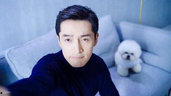 契默契明星,闪耀舞台的璀璨星辰