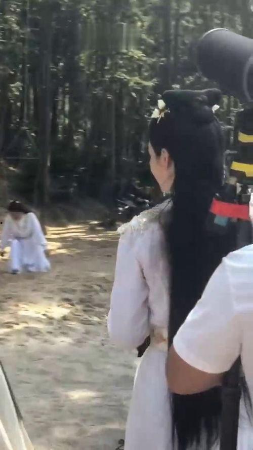 吃瓜群众的女明星,揭秘吃瓜群众心中的女明星