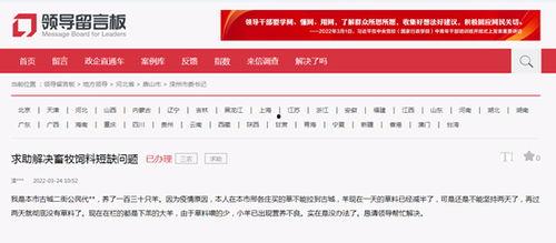 衡水新闻头条爆料,揭秘某重大事件背后真相！