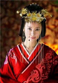 成亲的古代明星小说,宫廷情缘