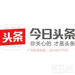 厦门金门今日头条新闻,厦门金门今日头条聚焦热点事件