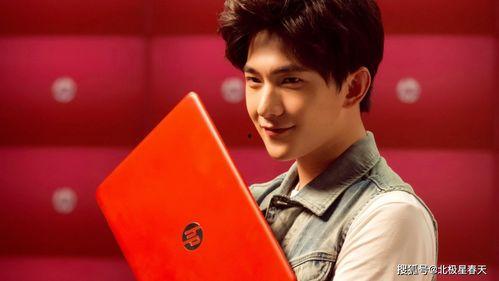 奋斗人生的明星,揭秘明星背后的奋斗故事