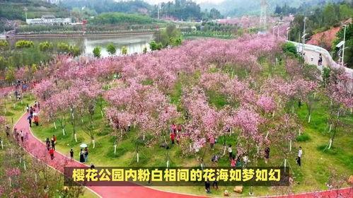 廉江网红必打卡地,解锁这座城市的魅力瞬间