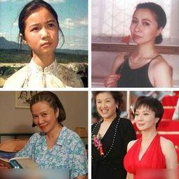 记录片主持明星,纪录片中的明星主持风采