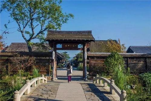 广西灵山县网红聚会,广西灵山县掀起网络热潮”