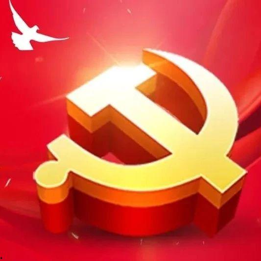 爆料津南新闻,揭秘津南最新动态与热点事件