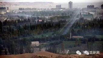 网红鄯善,探寻沙漠中的璀璨明珠