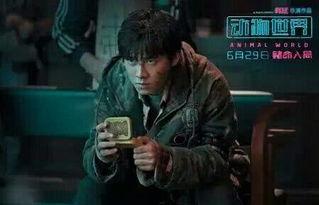 明星金蝉是谁,闪耀娱乐圈的璀璨明星