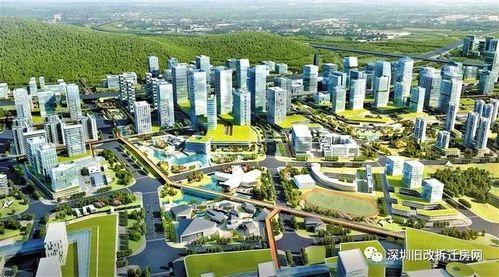 深圳航城今日头条