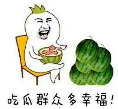 吃瓜的快乐谁懂,谁懂其中的奥秘与魅力