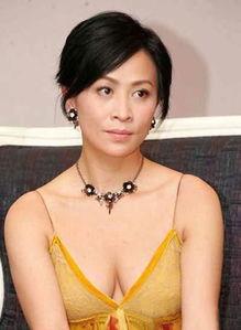 明星刘嘉琳,璀璨星途，优雅绽放