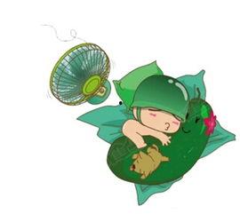 吃籽瓜能降温吗,夏日消暑新选择