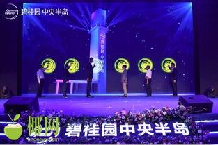 海南碧桂园爆料视频大全,揭秘项目背后的真相与争议