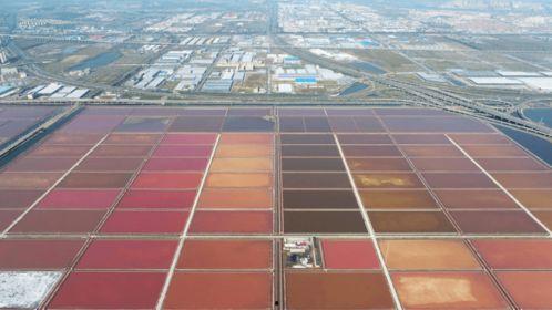 滨海网红跑道在哪里,探寻滨海风光与运动休闲的完美融合