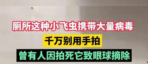 头条小店坐便器